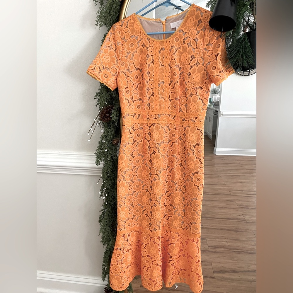 Rachel Parcell Fitted Lace Midi Dress